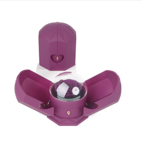 Whacky Wino rose jewelry gift box with elegant pink design and decorative roses inside for special occasions.