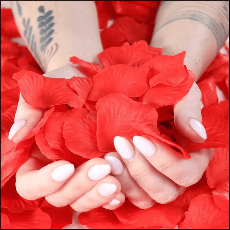 Red Rose Petals — Set the Scene for Something Special